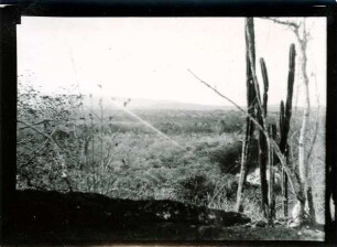 Blick nach Norden vom Cerro de la Bella Vista nahe Cerro Vigia auf den Galeriewald des Rio-Guasaré und die Manantiales-Berge : Gebiet des Rio Limon