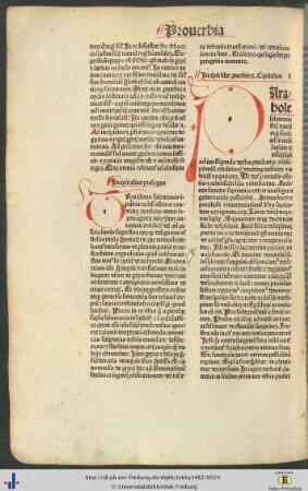 Liber proverbiorum