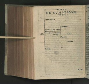 Tabula II. De Svmptione Typica