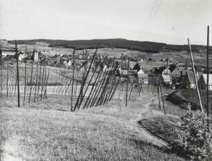 Spalt. Stadtansicht von Südosten (über Hopfenfelder)