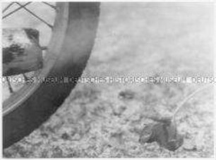 Abgeknickte Tulpe vor Moped-Auspuff (Sonderthema: Umweltschutz - Umweltzerstörung)