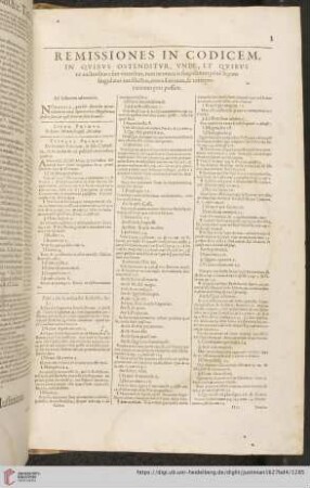 Remissiones in Codicem