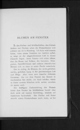 Blumen am Fenster