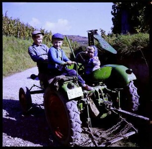 Ihringen: Kinder auf Traktor im Weinberg