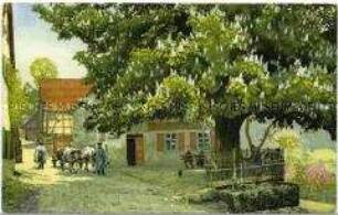Blühende Kastanie auf einem Dorfanger
