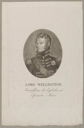 Bildnis des Lord Wellington