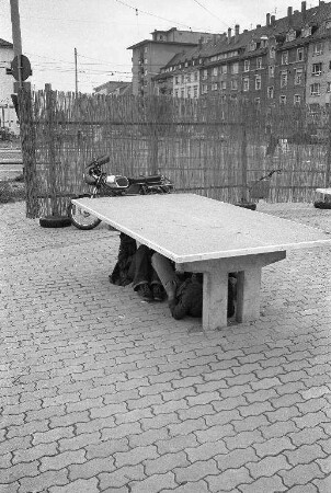 Spielweg Brohrain an der Tullastraße. Errichtung einer Palisadenwand zur Abschirmung des Tischtennisbereichs an der Tullastraße Ecke Rintheimer Straße vom Straßenverkehr