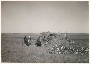 Bostom (Melonengarten) in der Steppe von Colelia