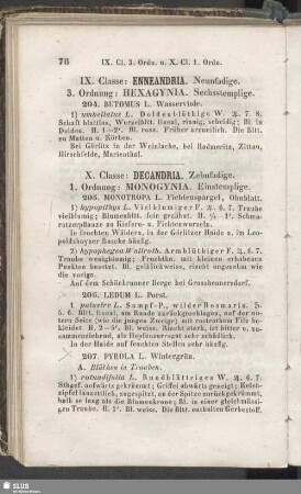 IX. Classe : Enneandria. Neunfadige