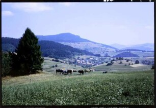 Gresgen: von Rümmelsbühl gegen Adelsberg und Zeller Blauen