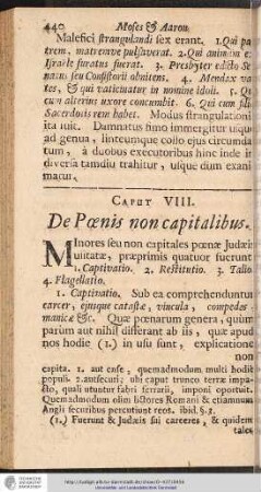 CAP. VIII. De Poenis non capitalibus.