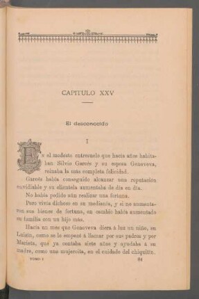 Capítulo XXV - El desconocido