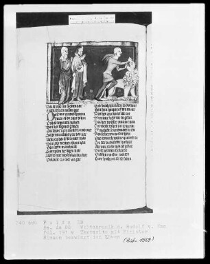 Rudolf von Ems, Weltchronik — Simson tötet den Löwen, Folio 191verso