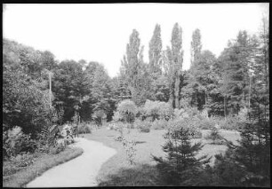 Kreischa. Anstaltspark