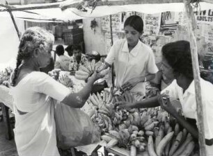 Marktszene in Sri Lanka mit großem Angebot von Obst