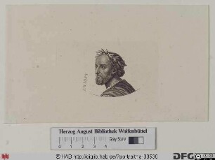 Bildnis Lodovico Ariosto