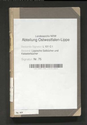 Konzept des Salbuchs der Stadt Lage von 1854