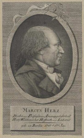 Bildnis des Marcus Herz