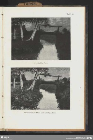 Brücke am Fluss [gewöhnliche Platte]