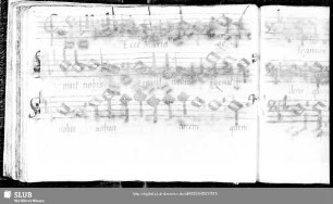 Stephan Mahu: Ecce Maria genuit