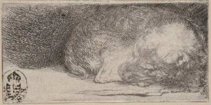 Der schlafende Hund