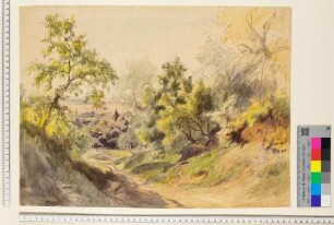 Blick auf Handschuhsheim