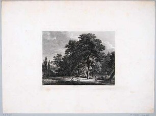 Blick in den Großen Garten in Dresden, Blatt Teil einer Folge von 12 Naturstudien von Johann Philipp Veith