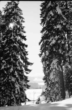 St. Märgen: Durchblick auf Feldberg; Wanderweg Kapfenkapelle