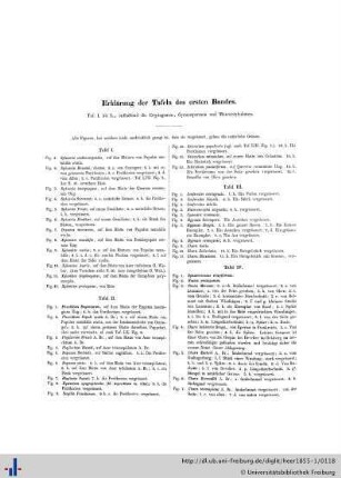 Erklärung der Tafeln des ersten Bandes.