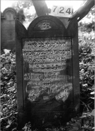 Grabstein 724 (Index: 99802154) Material: Sandstein Zustand: unten leicht verwittert/Textverlust Maße HxBxT: 95x50x10 cm Beschreibung: Stele mit eingezogenem Runmdbogen und Seitenakroterien: Grabstein 724