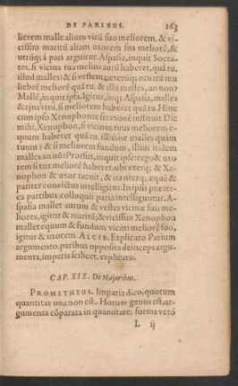 Cap. XIX. De Maioribus.