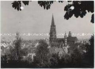 Schwarzwald, Freiburg im Breisgau, Münster Unserer Lieben Frau