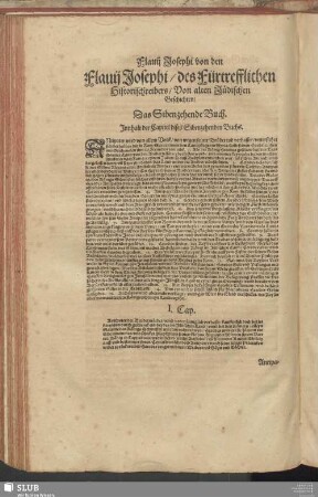 Das Sibenzehende Buch