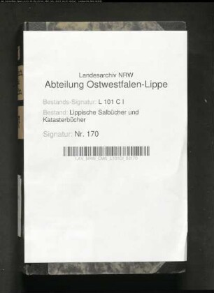 Salbuch der Stadt Salzuflen von 1806, Bd. 1