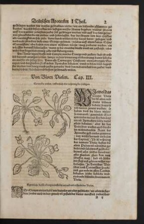 Von Bloen Violen. Cap. III.