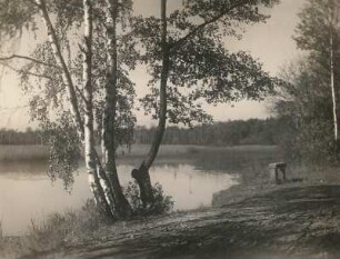 Oberlausitzer Niederung. Großteich Schönau Kreis Kamenz