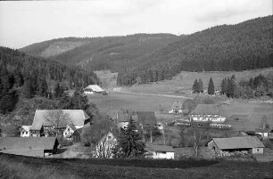 Bregtal mit Ruine Neu-Füstenberg bei Hammereisenbach