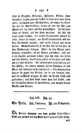 ¬Ein¬ Pole : Taf. XIX, Fig. 99