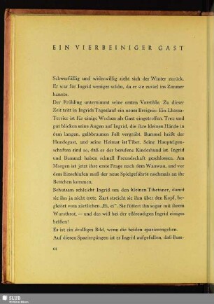 Ein Vierbeiniger Gast