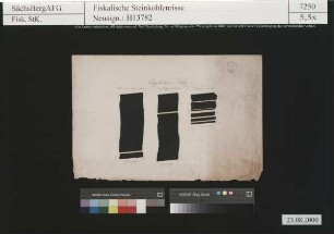 Bockwa, Oberhohndorf und Schedewitz, Profile des Rußkohlenflözes