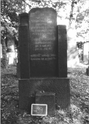 Grabstein 499 (Index: 100111618) Material: Granit Zustand: gut Maße HxBxT: 179x78x35 cm Beschreibung: Stele mit dreiviertelhohen Flügeln, Sockel, giebelartiger Abschluß, oben abgeflacht: Grabstein 499