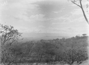 Vegetation : Vegetationslandschaft eines Gebirges