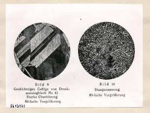 Mikroaufn. aus Mausfeld S. 16 (Repro), Bild 3; Foto, 1957
