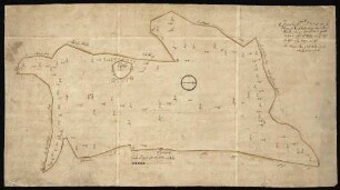 Leofels (Kr. Crailsheim) "Geometrischer Grund- und Meßriß über den Adelsberg" (Vermessungskarte) Beschreibung: Pappe; das Grundstück mit Grenzen in Wasserfarben; in Drei- und Vierecke eingeteilt