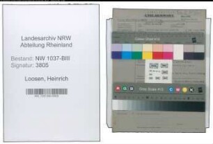 Entnazifizierung Heinrich Loosen , geb. 10.03.1890 (Fleischbeschauer)