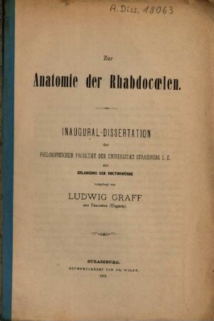 Zur Anatomie der Rhabdocoelen