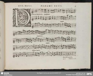 XIII. Dominus illuminatio mea