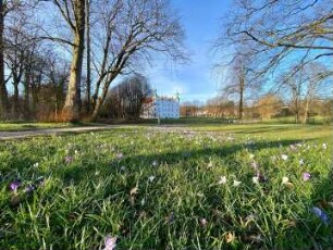 Ahrensburg: Herrenhaus (Museum Schloss Ahrensburg): Gartenseite, davor Wiese mit Krokusblüten im Frühjahr