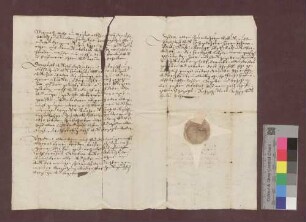 Fridlin Schaulin zu Kirchen ist der Kirchenpflege Schopfheim 25 Pfund Stäbler schuldig.