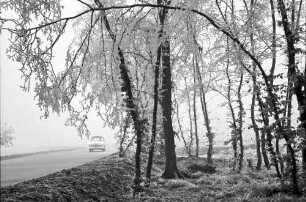 Ettenheim: Parkplatz im Rauhreif